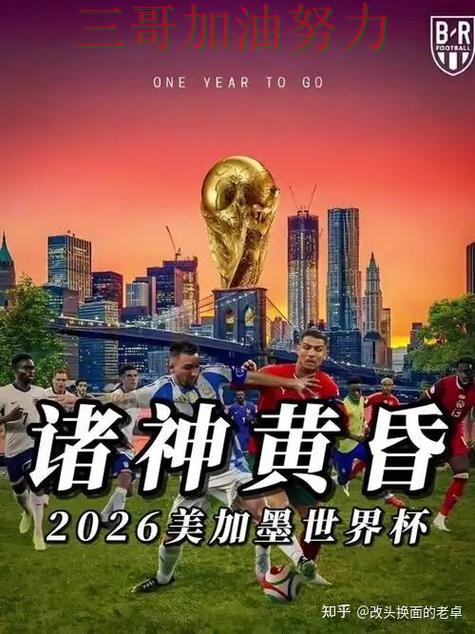 世界杯投注网站大全精选报告：数据分析+直播与实际体验总结 - World Cup 2026