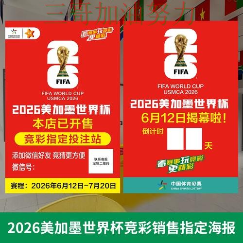 世界杯投注是否值得用靠谱吗？数据分析结果来了（世界杯直播）
