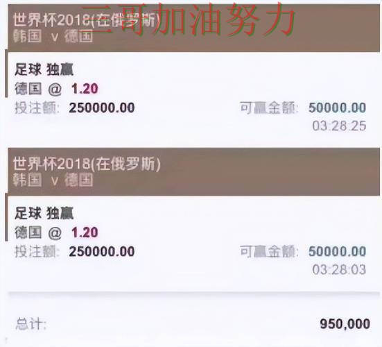 精选世界杯买球平台：从官网直达到直播观看全流程解析 - 世界杯赛事中心